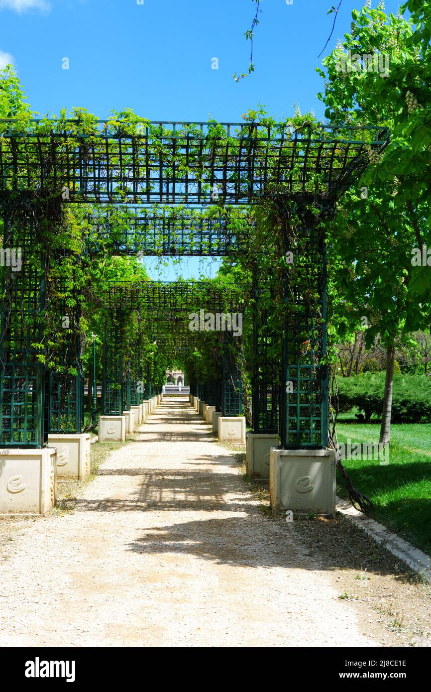 Sentiero verde tunnel a piedi al parco Foto Stock