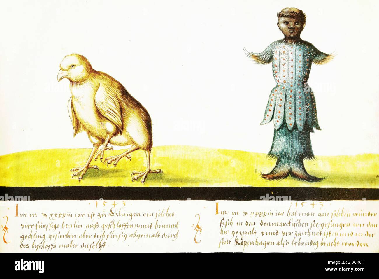 Libro dei miracoli Foto Stock