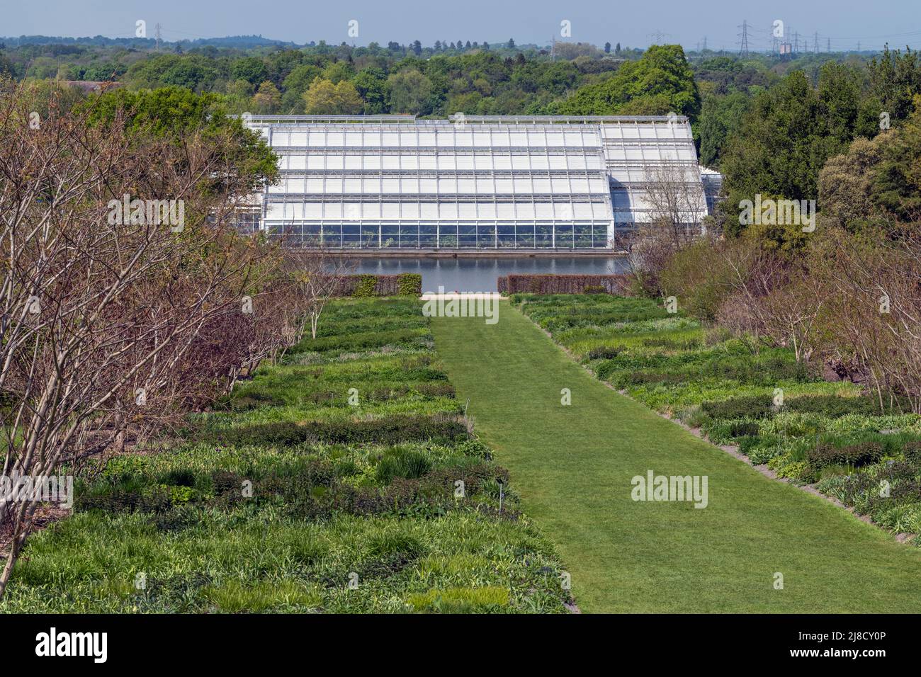 The New Bicentenary Glasshouse at RHS Wisley, Wisley Gardens, Wisley, Surrey, Inghilterra, REGNO UNITO. Foto Stock