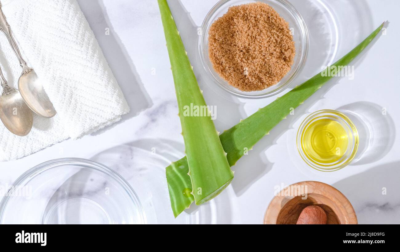 Aloe vera ricetta fatta in casa per scrub viso e corpo. Pianta di Aloe vera, zucchero di canna e olio d'oliva. Gli ingredienti si avvicinano su sfondo in marmo, piatto Foto Stock