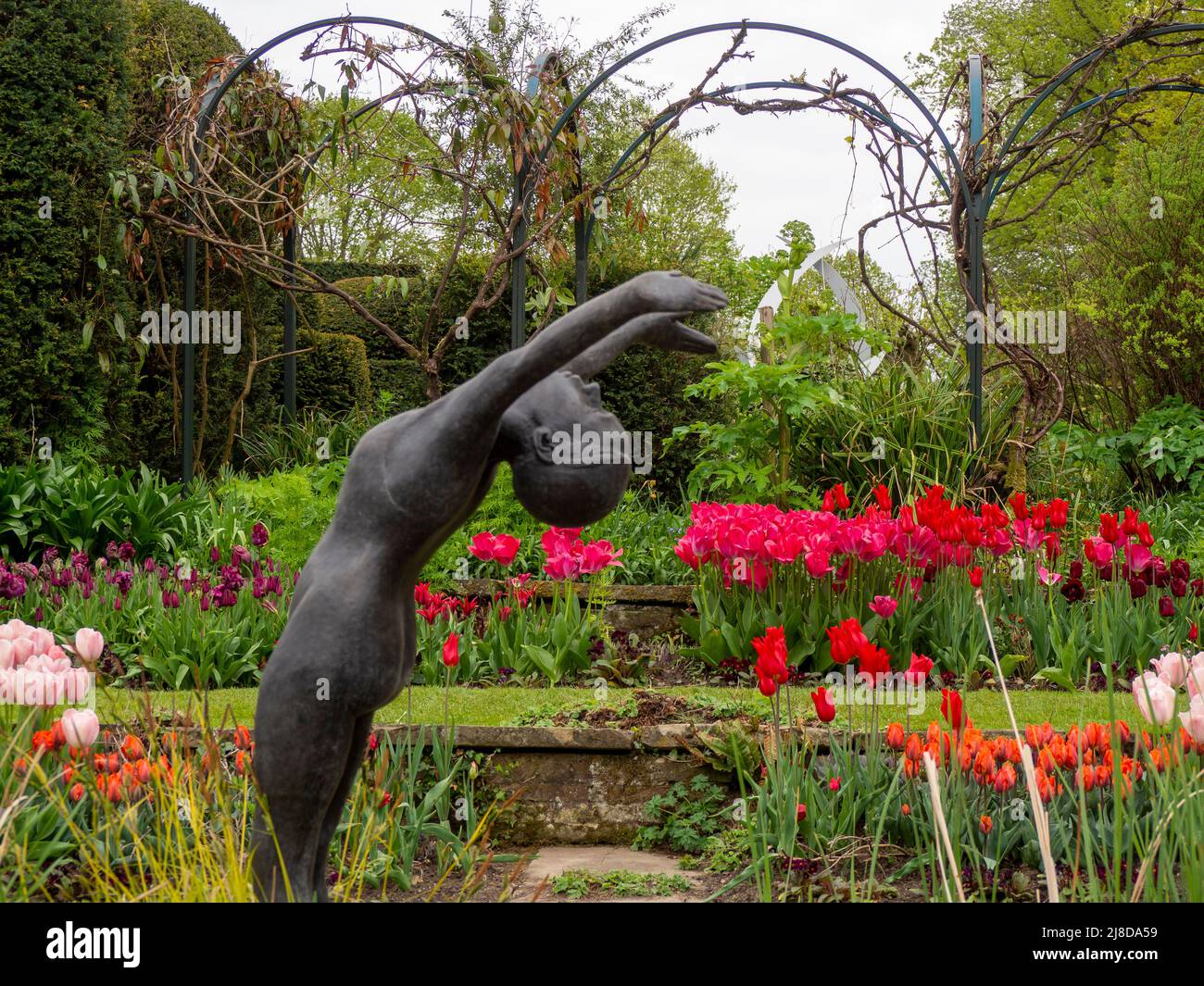 Chenies Manor Garden. La scultura di Alan Bigg del 'Diver' si affaccia sullo stagno ornamentale nel giardino Sunken, con tulipani e tralicci ad arco. Foto Stock