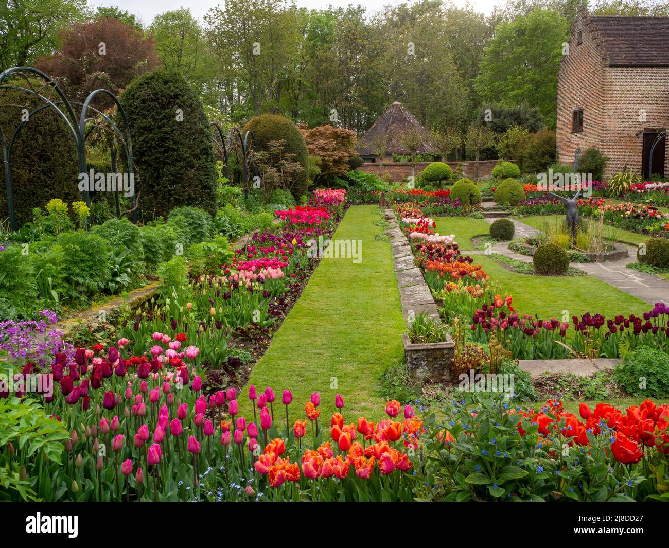 Chenies Manor Garden Sunken Garden a Tulip season.Overcast tempo, ma colori vibranti. Tulipani 'Pieter de Leur', 'Backpacker'. Foto Stock