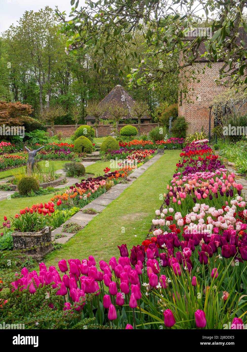 Chenies Manor Garden.Portrait vista del giardino Sunken con varietà di tulipano in rosa, viola, rosso; arancione; la casa Tudor bene e Pavilion mattoni. Foto Stock