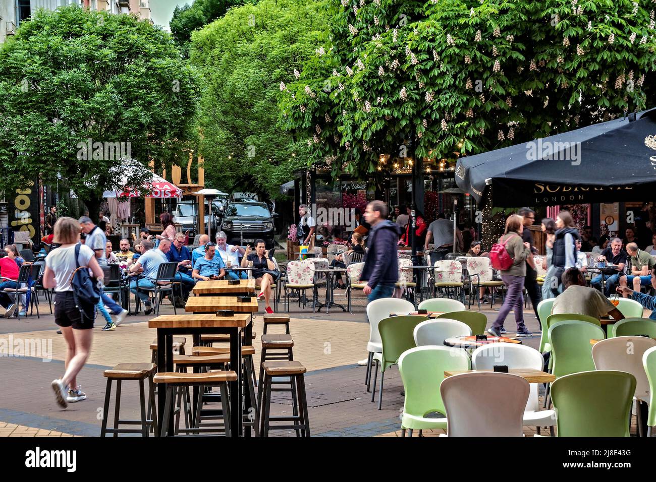 Via Vitosha, Sofia, Bulgaria, Europa Foto Stock