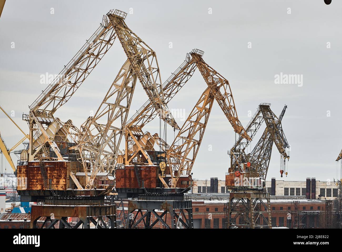 Gruppo di gru a portale in cantiere di porto sotto cielo nuvoloso Foto Stock