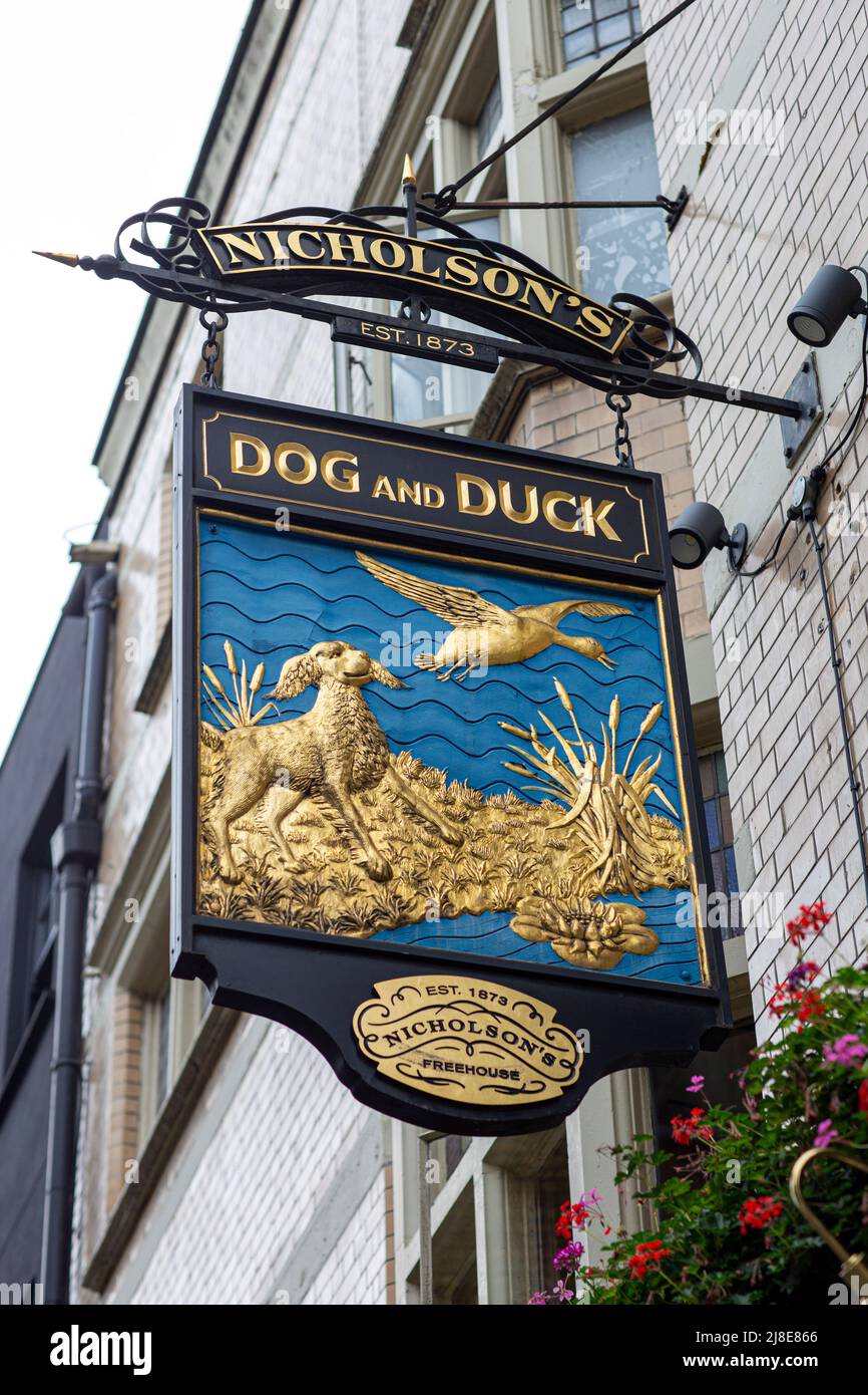The Dog and Duck pub, Soho, Londra, Inghilterra, Foto Stock