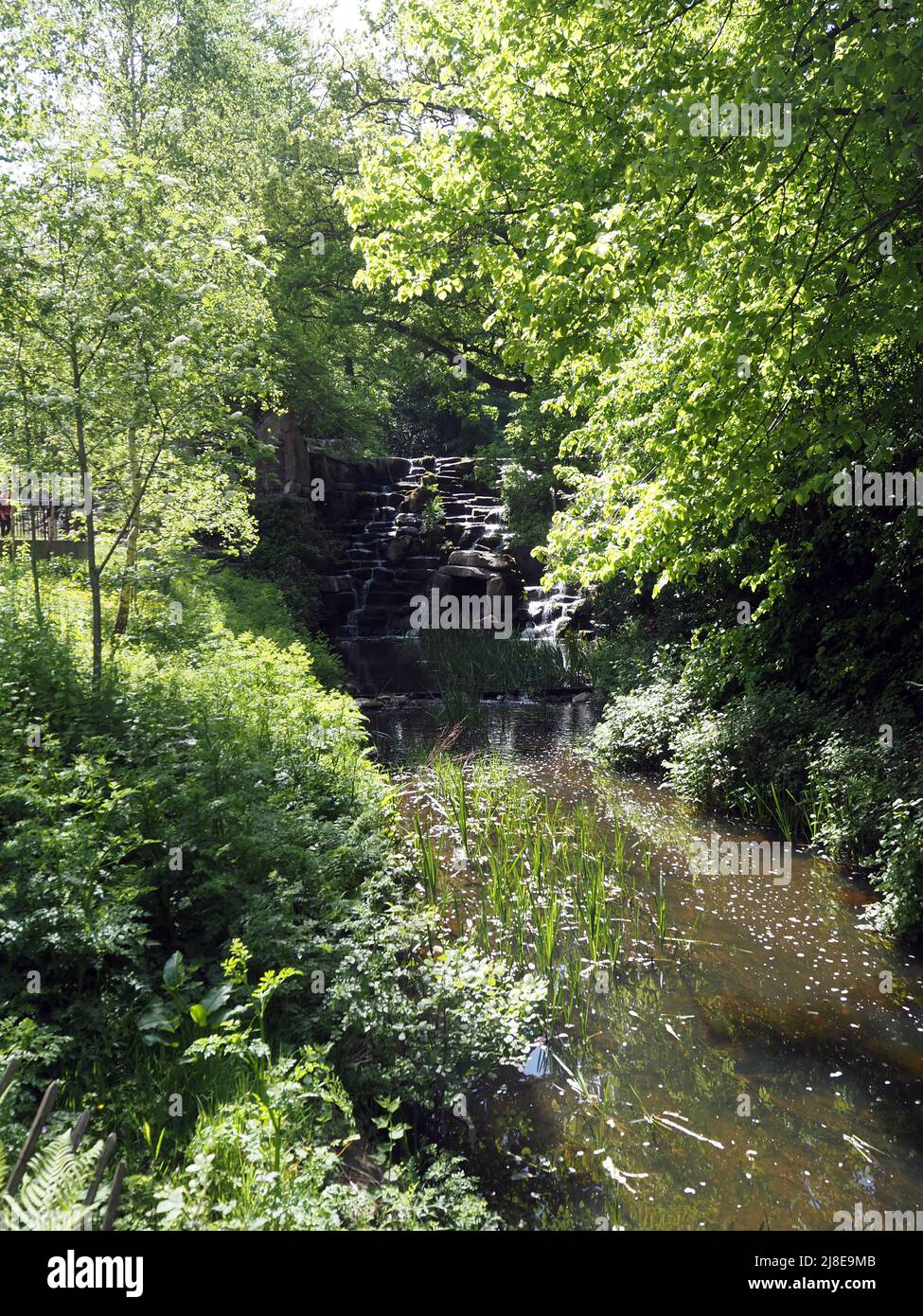 Virginia Water Berkshire Inghilterra Regno Unito Foto Stock