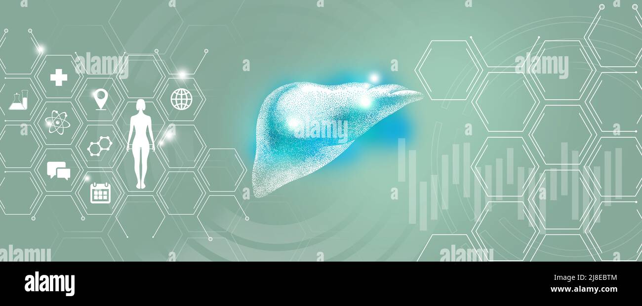 Ricerca e recupero della malattia epatica dell'organo interno umano. Tavolozza dei modelli turchesi, spazio di copia per il testo. Foto Stock