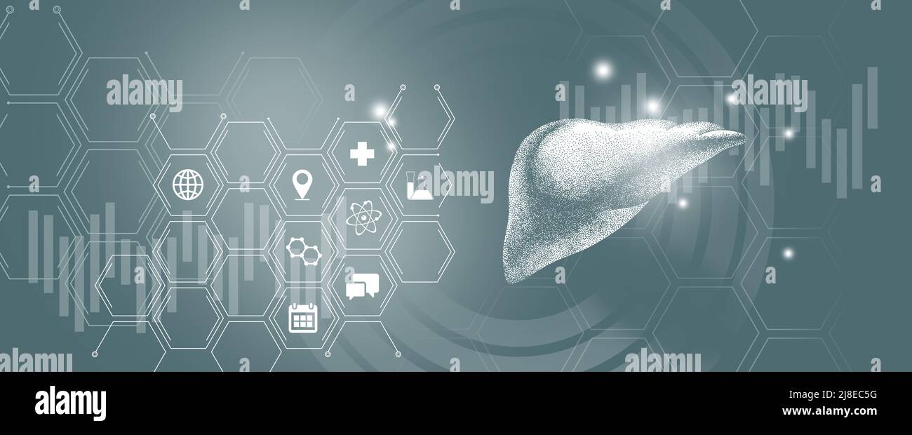 Ricerca e recupero della malattia epatica dell'organo interno umano. Tavolozza dei modelli grigi, spazio di copia per il testo. Foto Stock