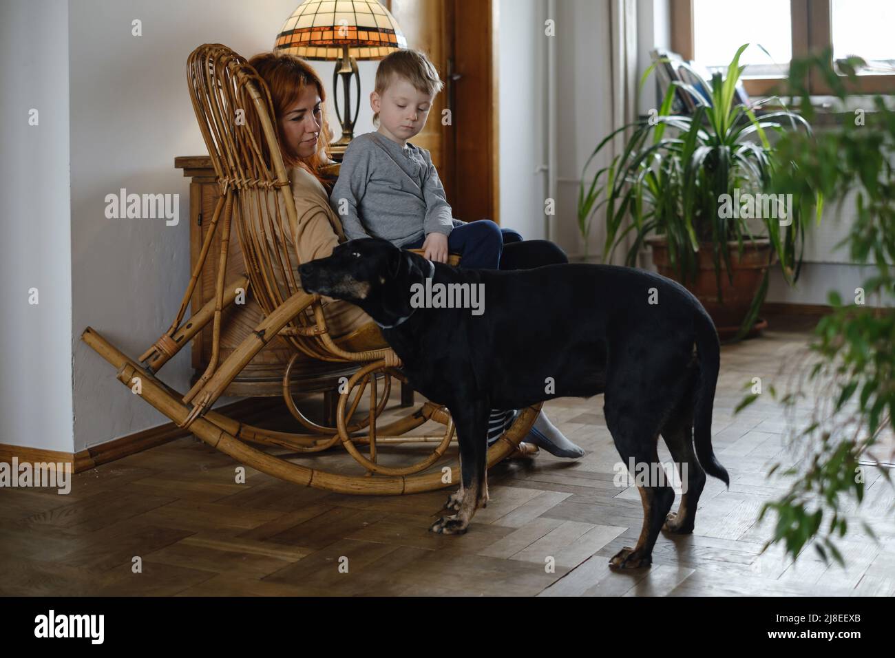 Madre con bambino e cane a casa su sedia a dondolo divertirsi insieme. Genitore con bambino rilassarsi su poltrona in casa d'epoca con animali domestici e. Foto Stock