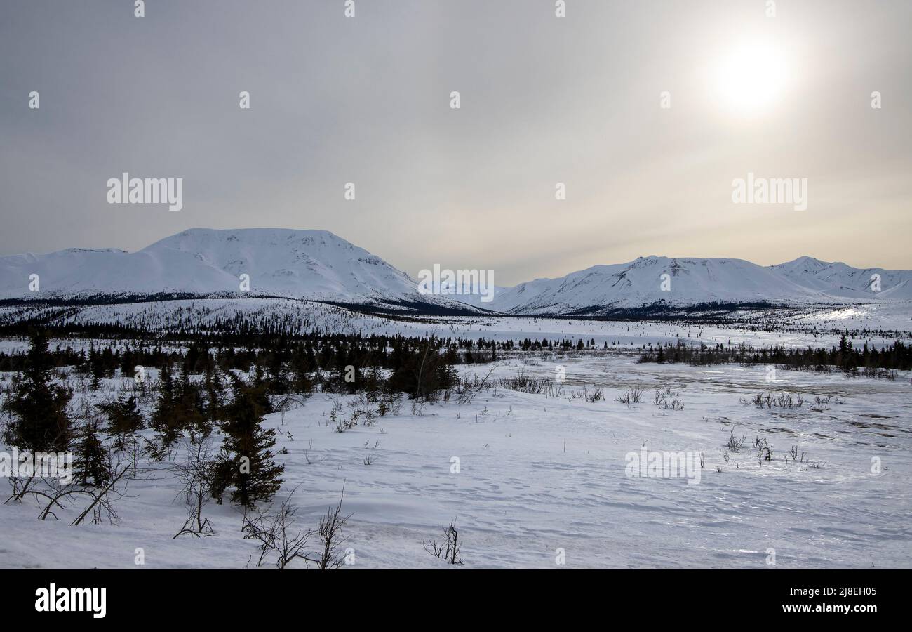 Vista delle montagne invernali e del paesaggio nei pressi del Denali National Park in Alaska, Stati Uniti. Foto Stock