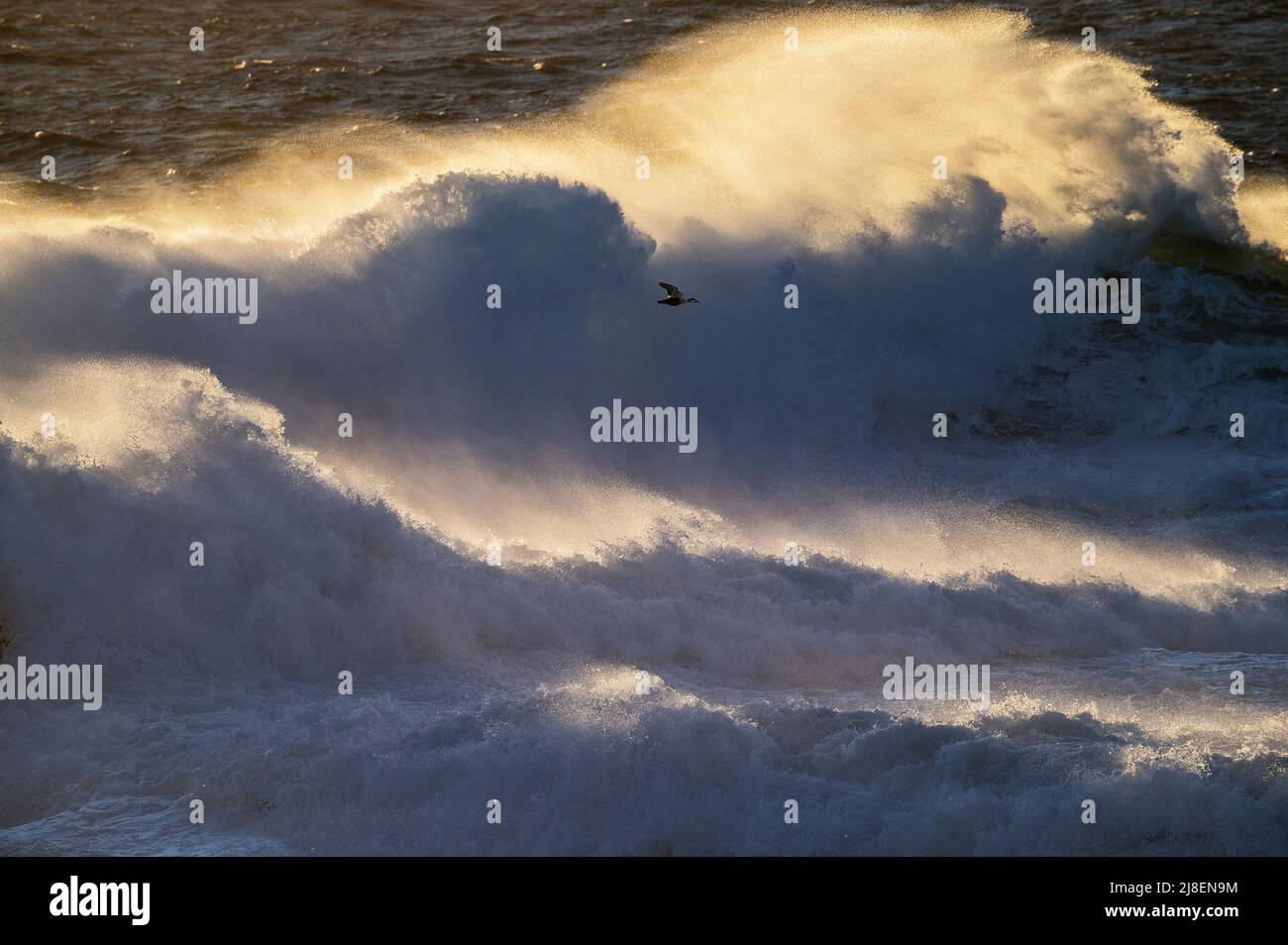 Mari selvaggi e grandi onde con spruzzi di mare che vengono soffiato fuori dalle cime delle onde dai venti feroci, Fair Isle Foto Stock