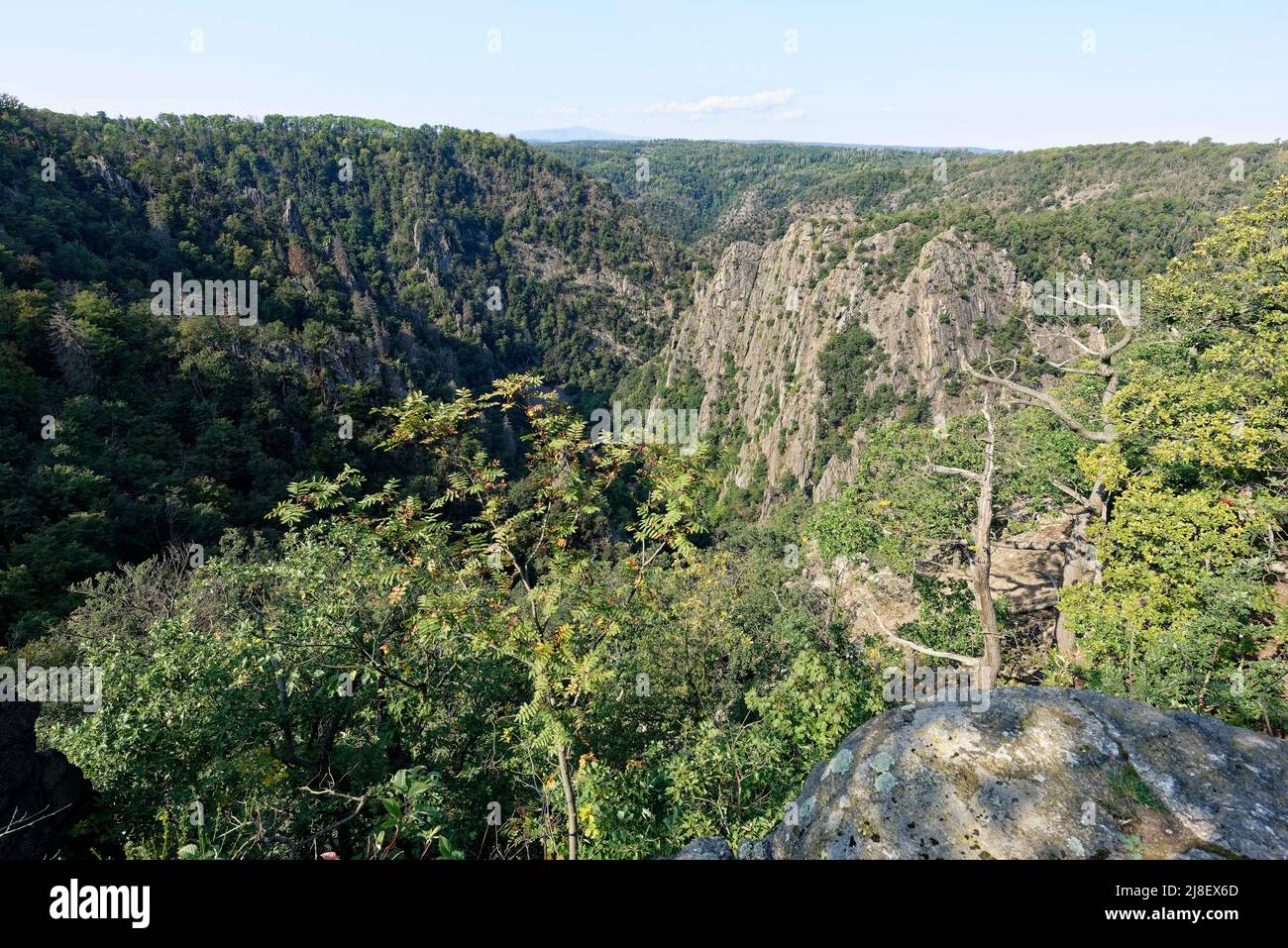 Teufelsmauer in oscuro Thale, Harz. Foto Stock