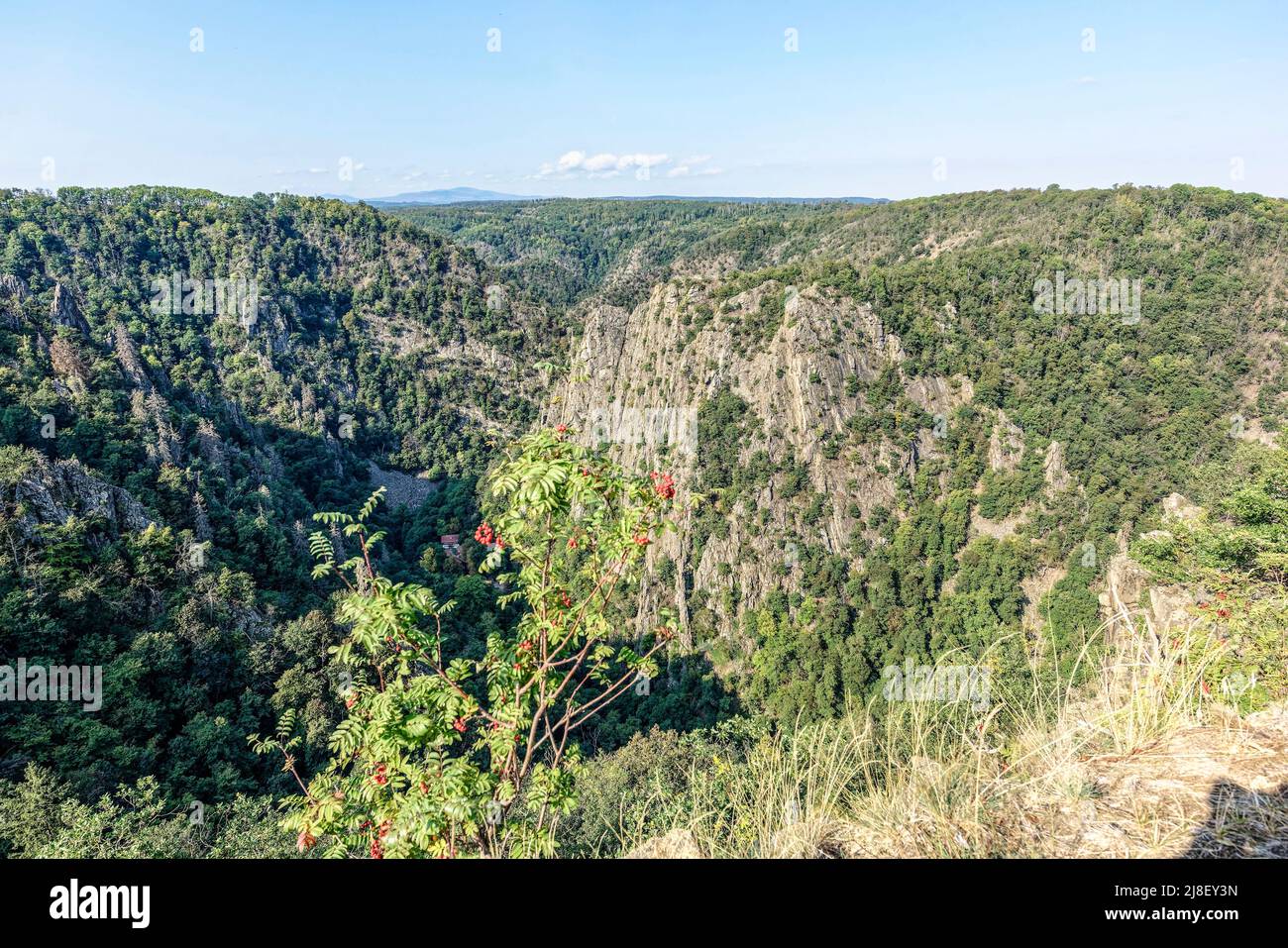 Teufelsmauer in oscuro Thale, Harz. Foto Stock