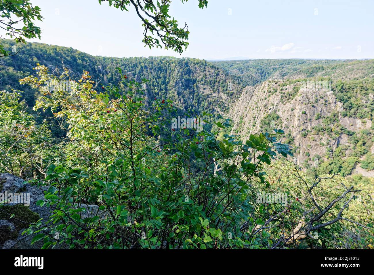 Teufelsmauer in oscuro Thale, Harz. Foto Stock