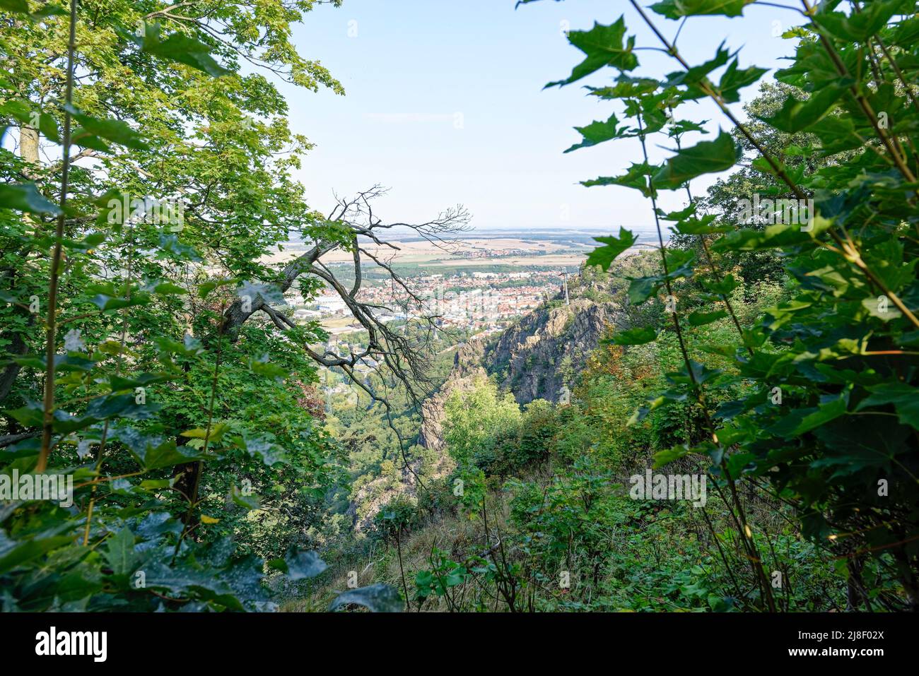 Teufelsmauer in oscuro Thale, Harz. Foto Stock