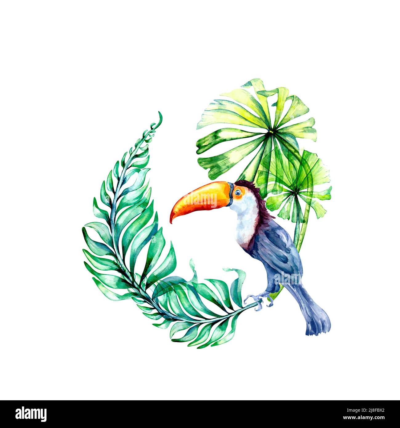 Toucan di uccelli esotici, foglie tropicali, albero di palma cornice acquerello illustrazione su bianco. Composizione brillante del modello di scheda. Elementi floreali colorati, des Foto Stock
