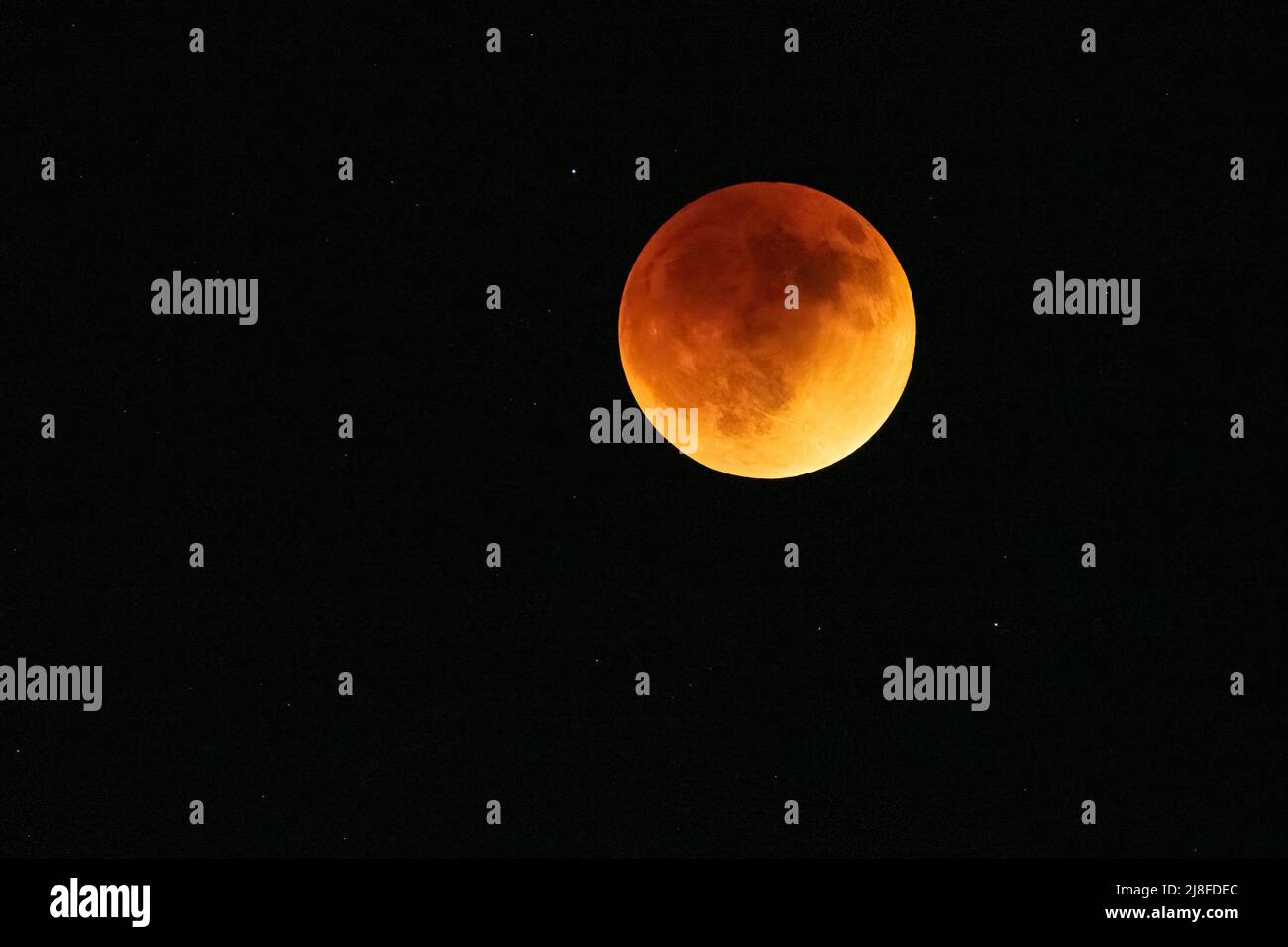 Super blood moon Full lunar eclisse visto da Metro Atlanta, Georgia il 16 maggio 2022. (USA) Foto Stock