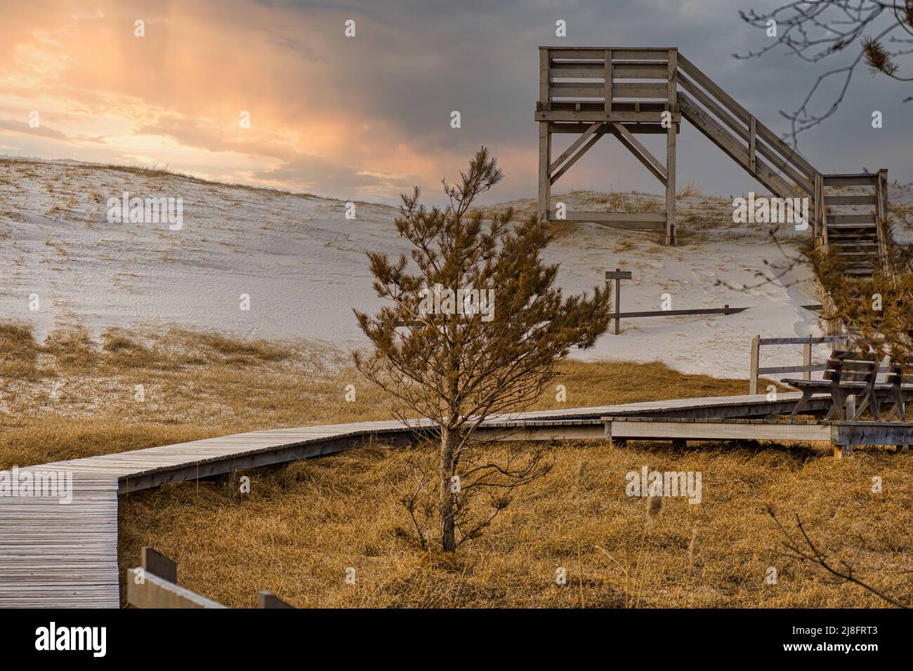 Tramonto alla torre di osservazione presso l'alta duna sul Darss. Parco Nazionale in Germania. Vista sul lungomare, mare, Mar Baltico, sabbia, foresta e cielo. Foto Stock