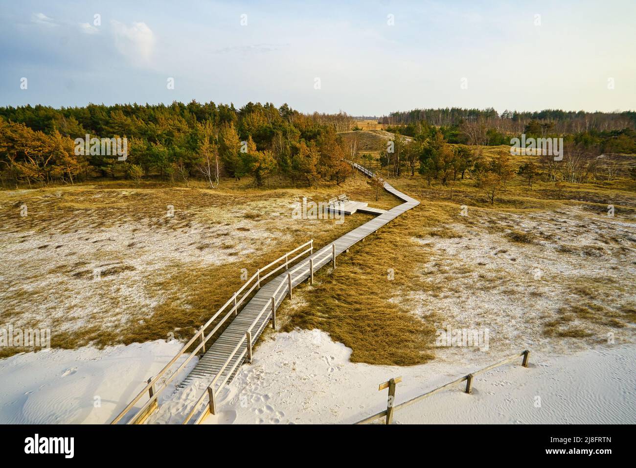 Sentiero escursionistico su un ponte pedonale di legno per l'alta duna sul darss. Parco Nazionale in Germania. Foto della natura Foto Stock