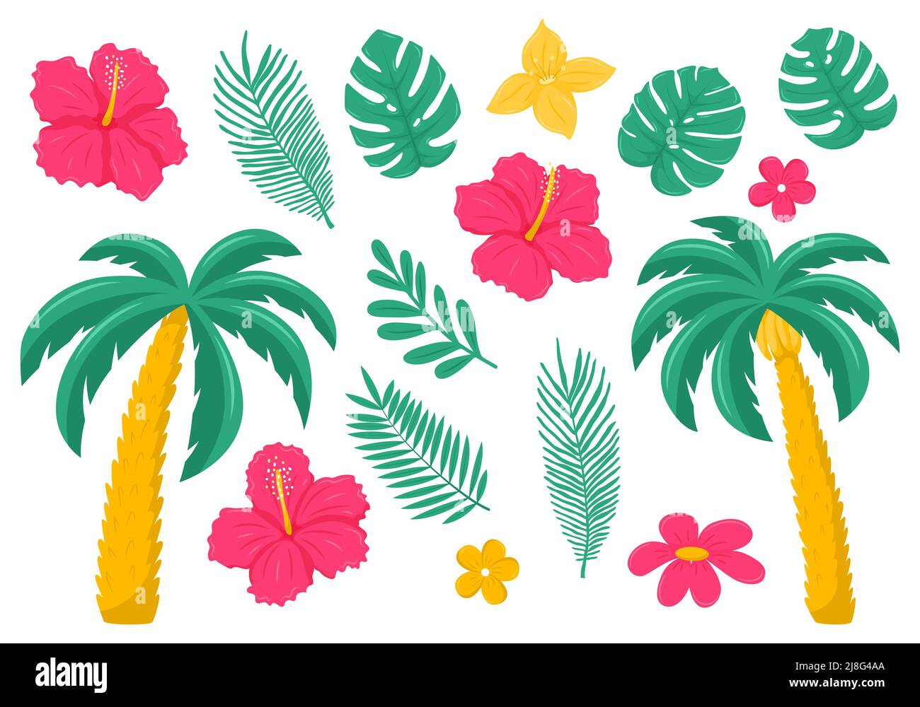 Un insieme di foglie e fiori tropicali ed esotici. Palma, hibiscus, plumeria. Illustrazioni vettoriali botaniche brillanti in stile piatto. Isolato su bac bianco Illustrazione Vettoriale