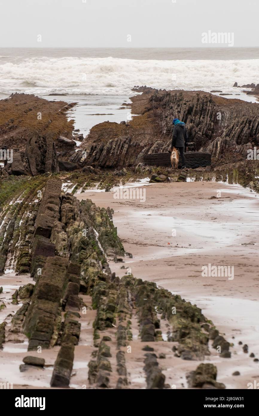 uomo che cammina tra le rocce accompagnato dal suo cane sulla riva del mare Foto Stock