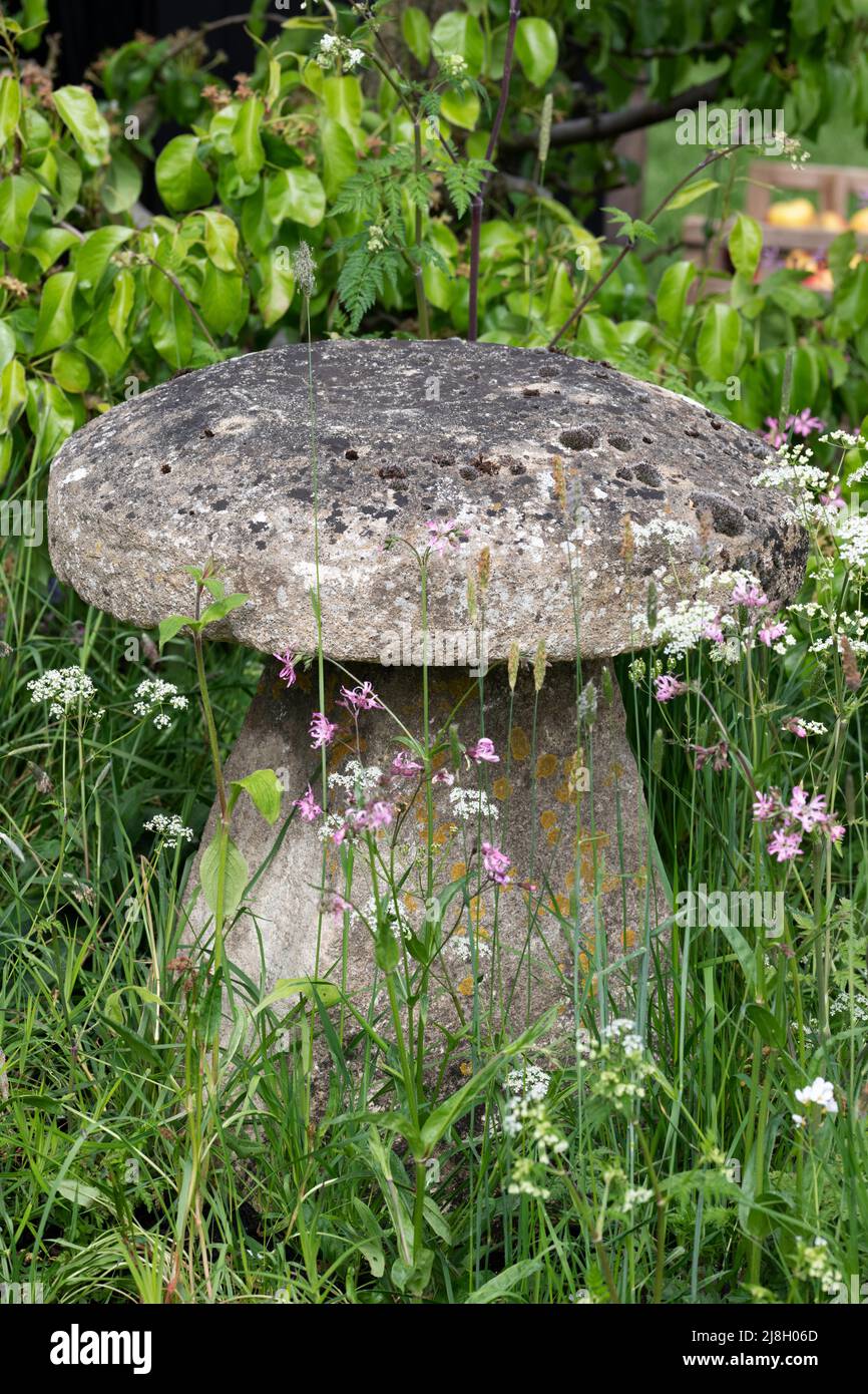 Staddle pietra in erba lunga. Inghilterra Foto Stock