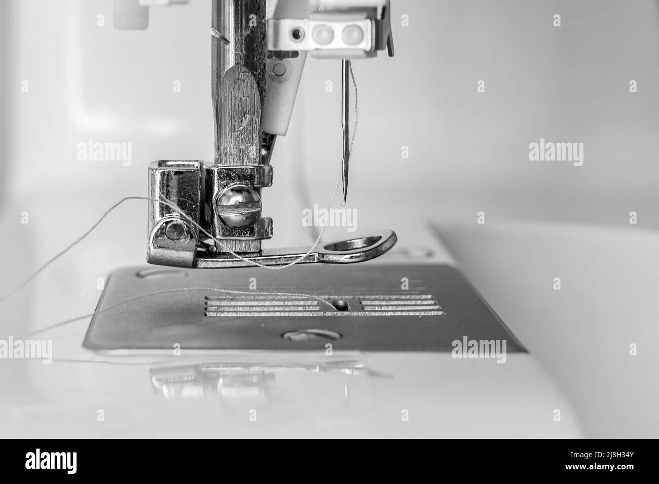 Parte del primo piano della macchina da cucire - piede, ago e filo. Immagine monocromatica Foto Stock