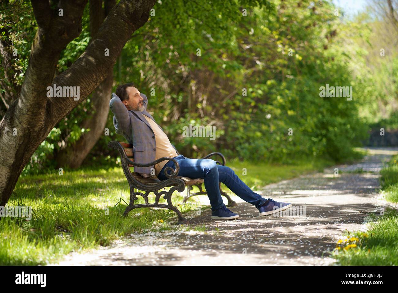 Bell'uomo da freelance maturo con barba grigia, seduto sul banco del parco con le mani ripiegate dietro la testa godendosi il tempo libero indossando giacca casual e jeans. Foto Stock
