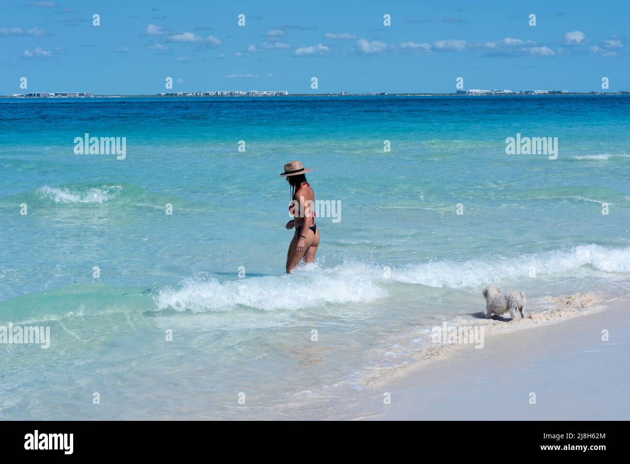 La giovane donna gioca con il suo cane da cuccioli in onde di mare sulla spiaggia di Isla Mujeres in Messico Foto Stock