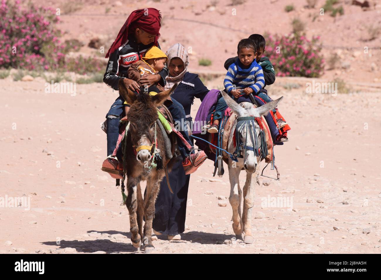 Una famiglia bedul beduina con un bambino e bambini molto piccoli che viaggiano su 2 asini attraverso l'antica città perduta di Petra in Giordania in Medio Oriente Foto Stock