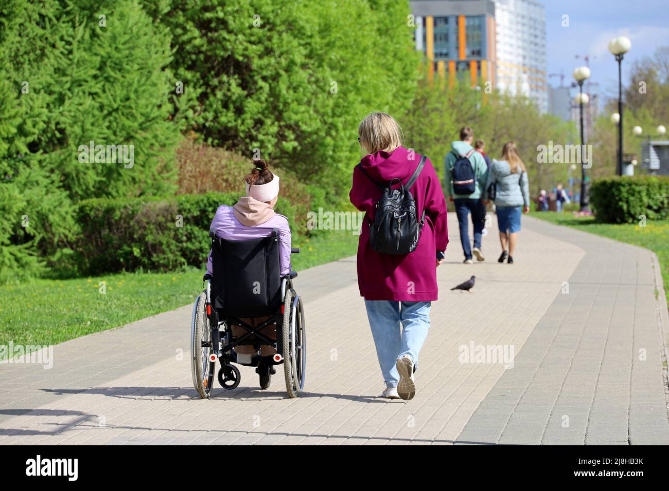 Persona con disabilità in sedia a rotelle e donna che cammina su una strada della città. Assistenza ai disabili Foto Stock