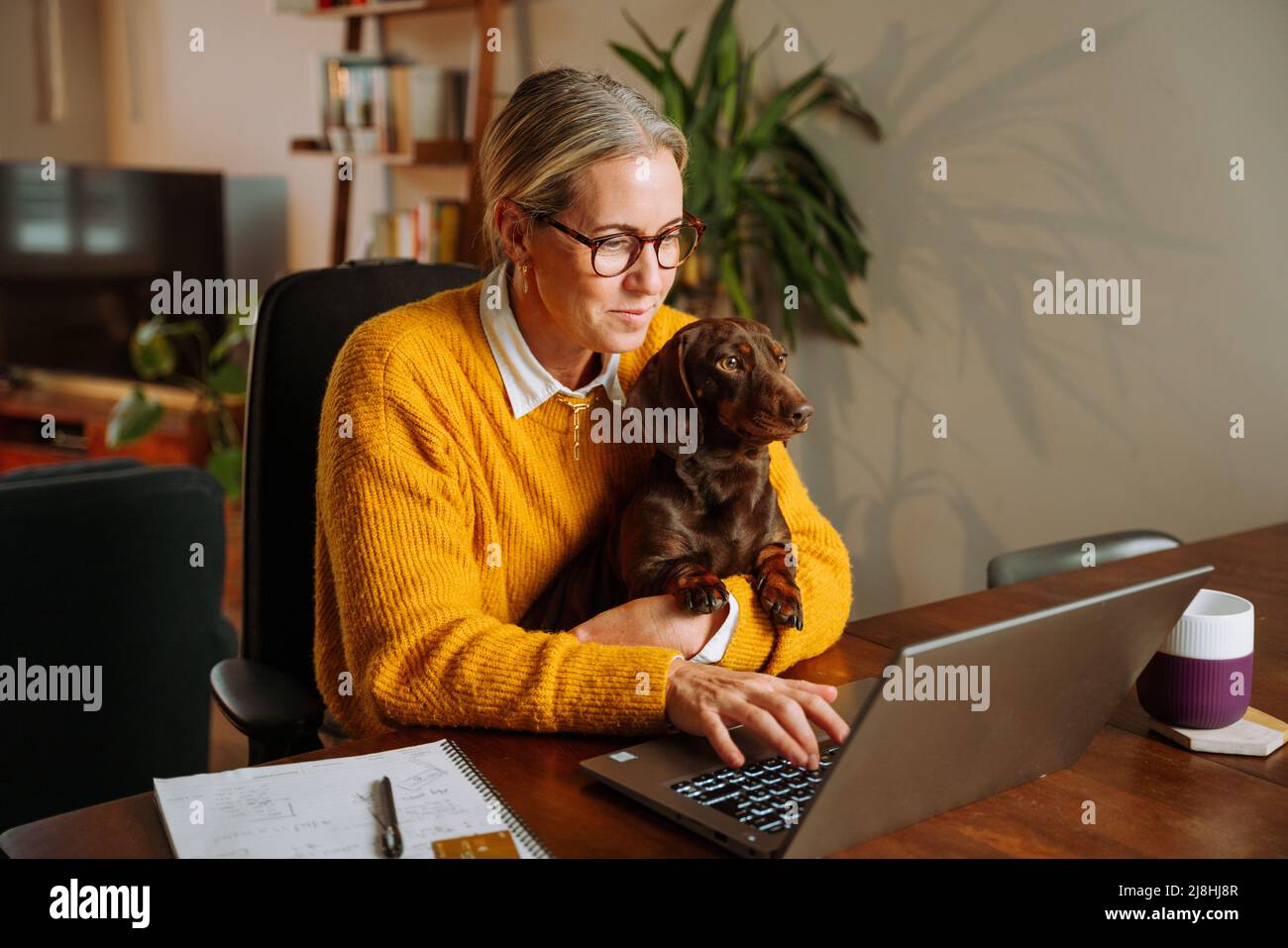 Donna di affari caucasica che lavora da casa tenendo il cane da compagnia sul suo grembo Foto Stock