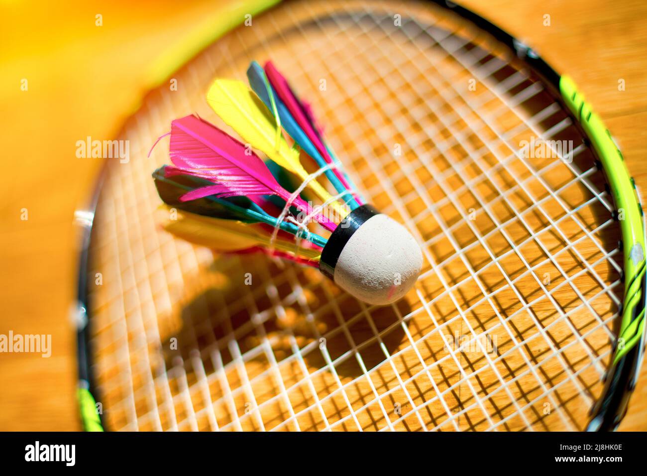 La racchetta di badminton con shuttleock si trova sulla superficie sportiva in legno in palestra. Vista dall'alto. Sfondo. Foto Stock