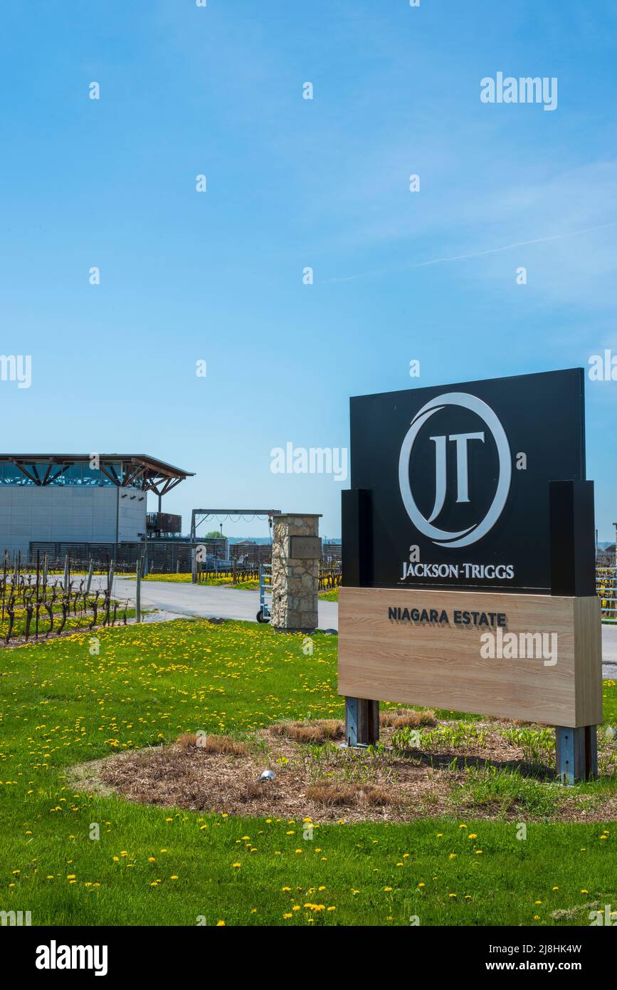 Jackson-Triggs, Niagara-on-the-Lake Foto Stock