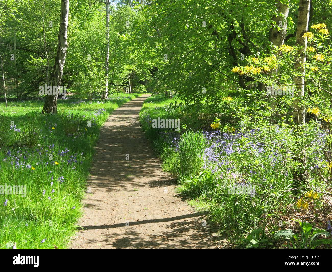 I giardini anglo-olandesi di De Wiersse sono caratterizzati da un parco paesaggistico, panorami romantici, sentieri attraverso i boschi e ricca piantagione. Foto Stock