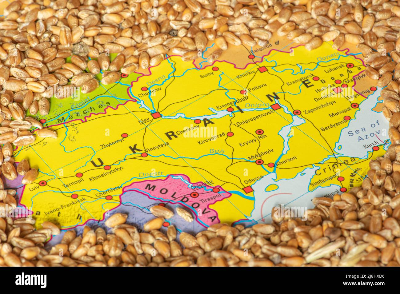 Grani di grano sulla mappa di Ucraina, crisi di grano ucraino, concetto globale di crisi della fame a causa della guerra Foto Stock