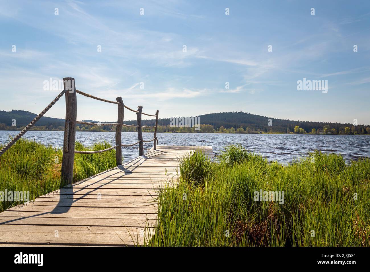 Molo di legno a Olsina stagno, boscosa collina e cielo blu sullo sfondo, Repubblica Ceca Foto Stock