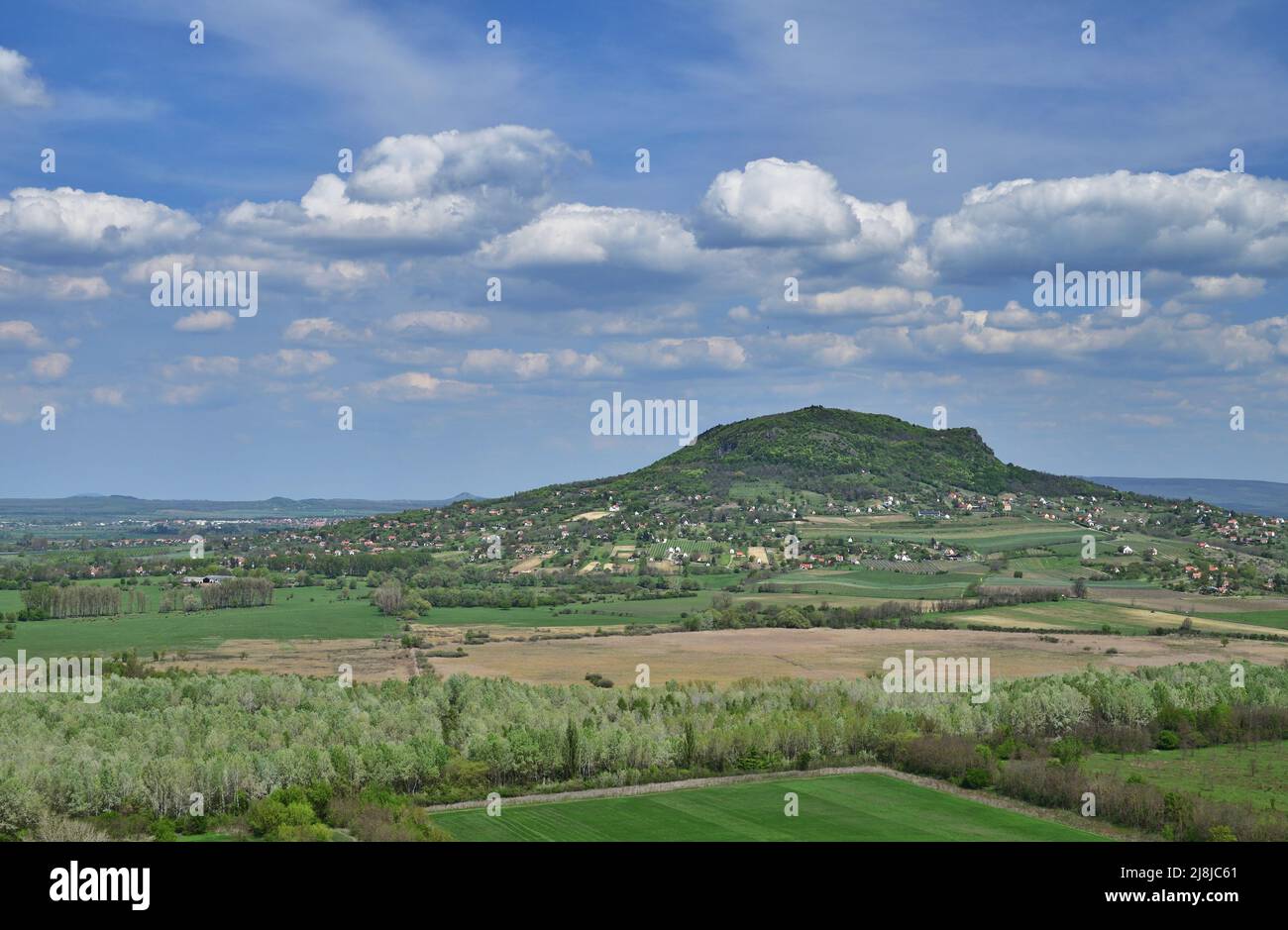 Badacsony è una collina vulcanica a Hungrey, a nord del lago Balaton e una famosa regione vinicola Foto Stock