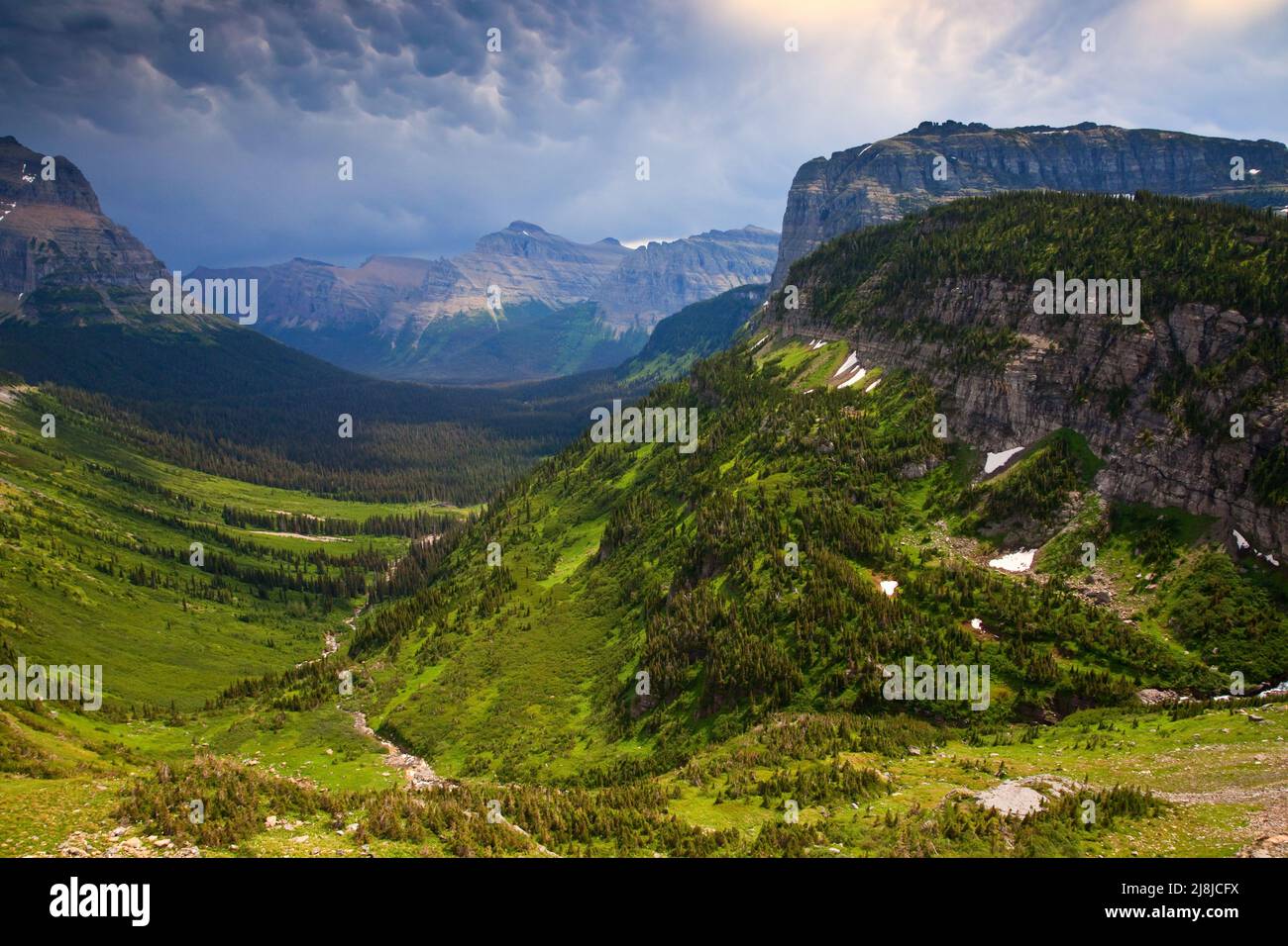 Il andando a Sun Road attraversano i pendii della montagna sul lato est di Logan pass nel Parco Nazionale di Glacier, Montana, USA. Foto Stock