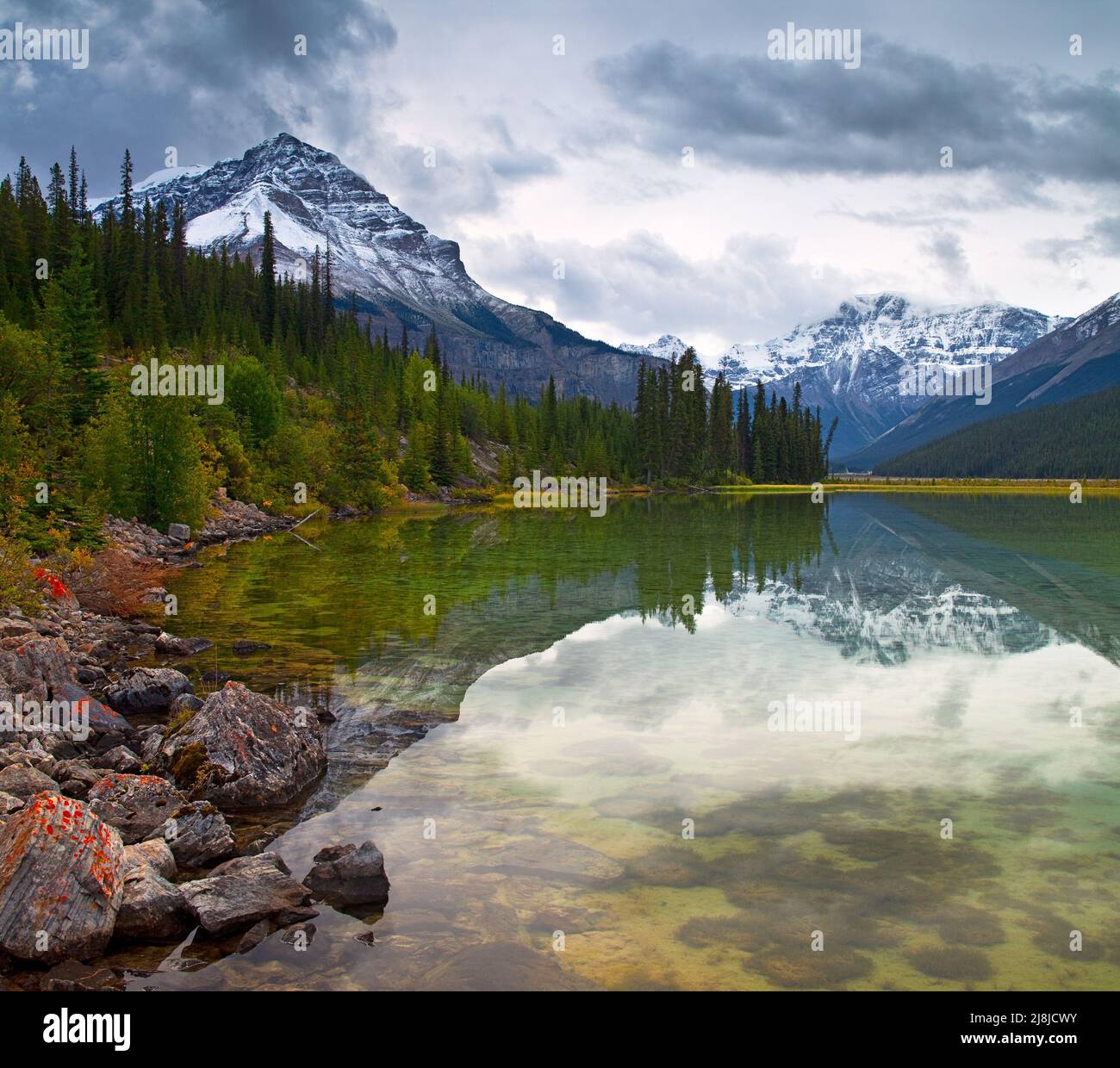 Uno stagno di montagna vicino a Beauty Creek lungo l'Icefield Parkway nel Parco Nazionale di Banff, Alberta, Canada Foto Stock