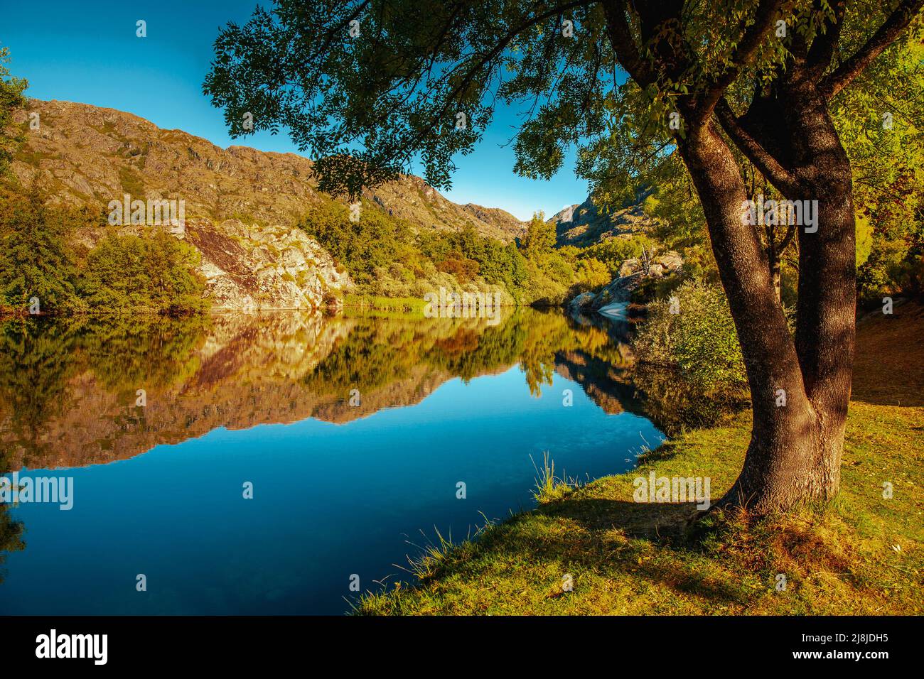 Bellissimo paesaggio in spagna, fiume witj alberi Foto Stock