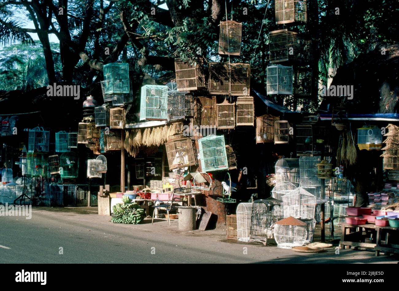 Birdmarket a Jakarta, Indonesia 1984 Foto Stock