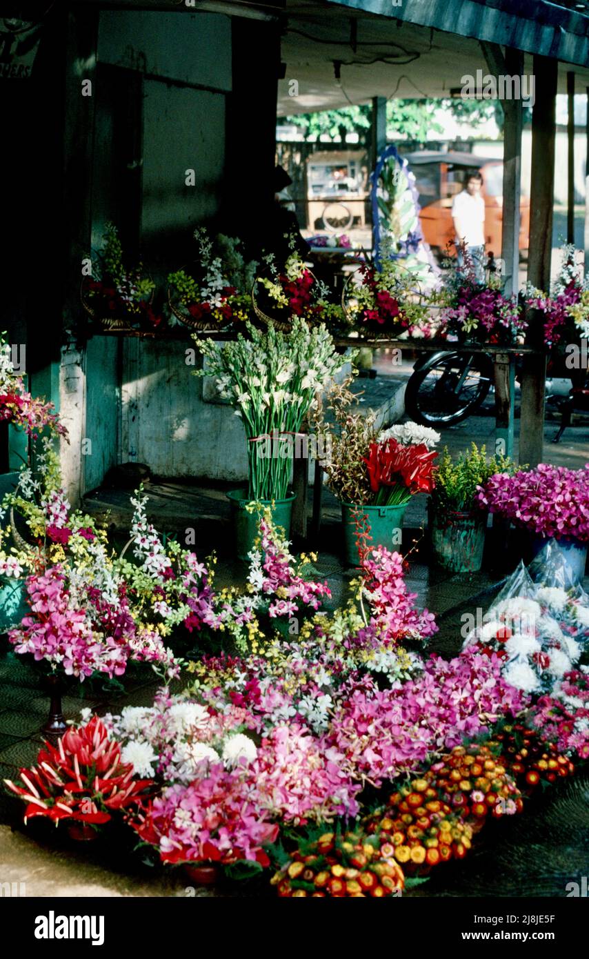 Mercato delle orchidee a Giacarta, Indonesia 1984 Foto Stock
