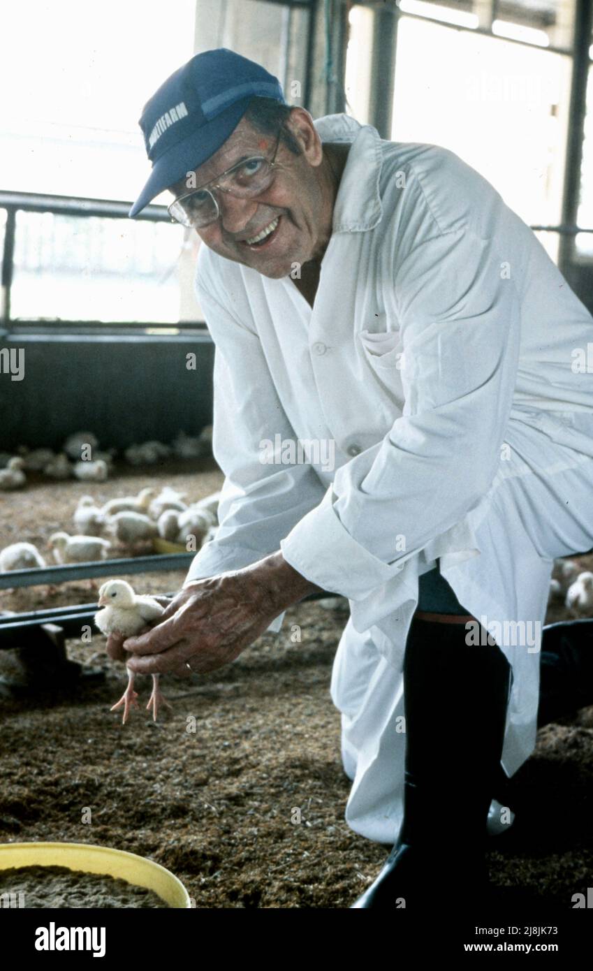 American ha ritirato l'esecutivo dall'International Executive Service Corps presso il progetto di vivaio di polli nell'area di Surabaya sull'isola di Java, Indonesia 1985 Foto Stock