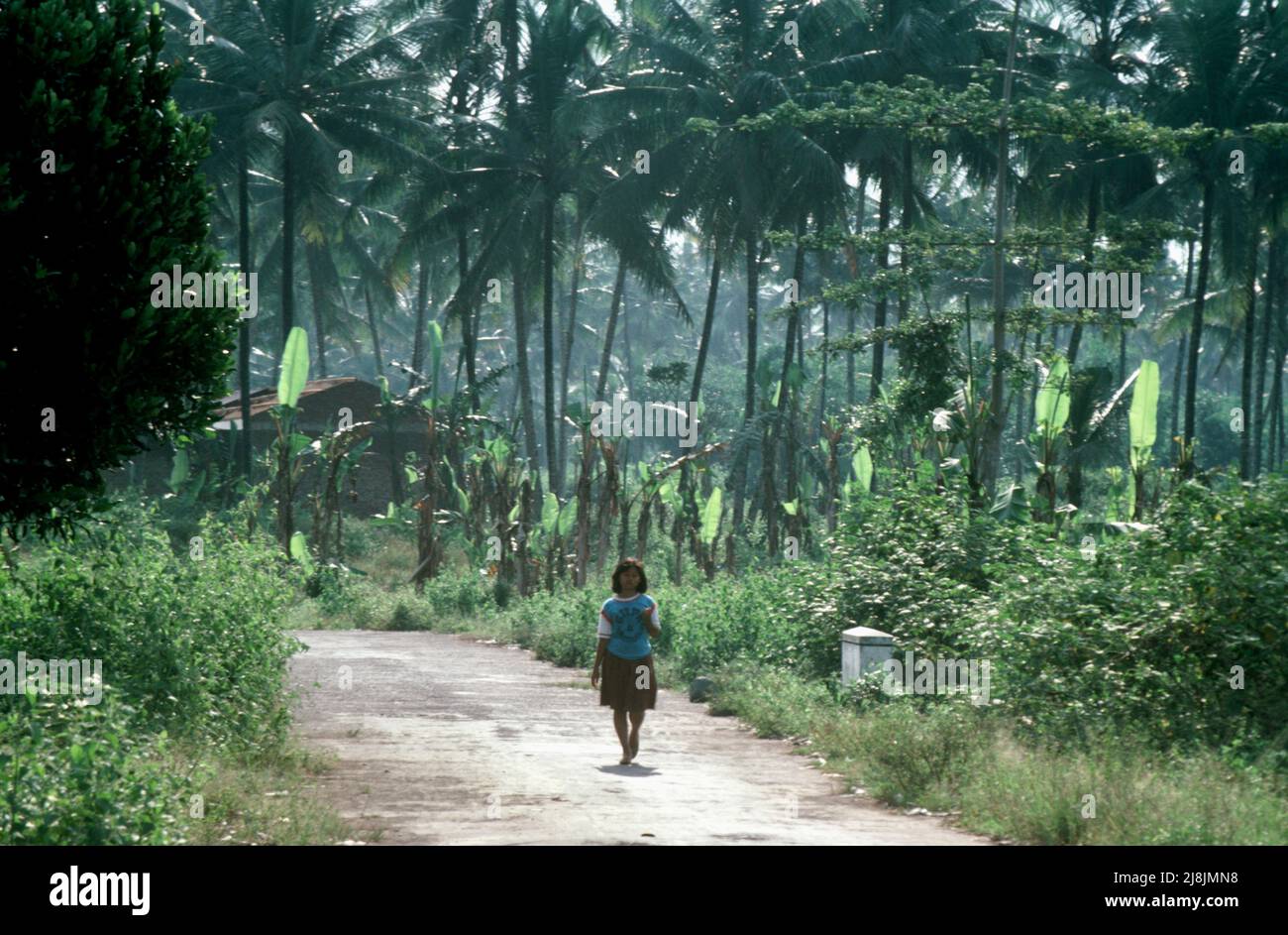 Donna su una piccola strada a Yogakarta, Indonesia 1984 Foto Stock