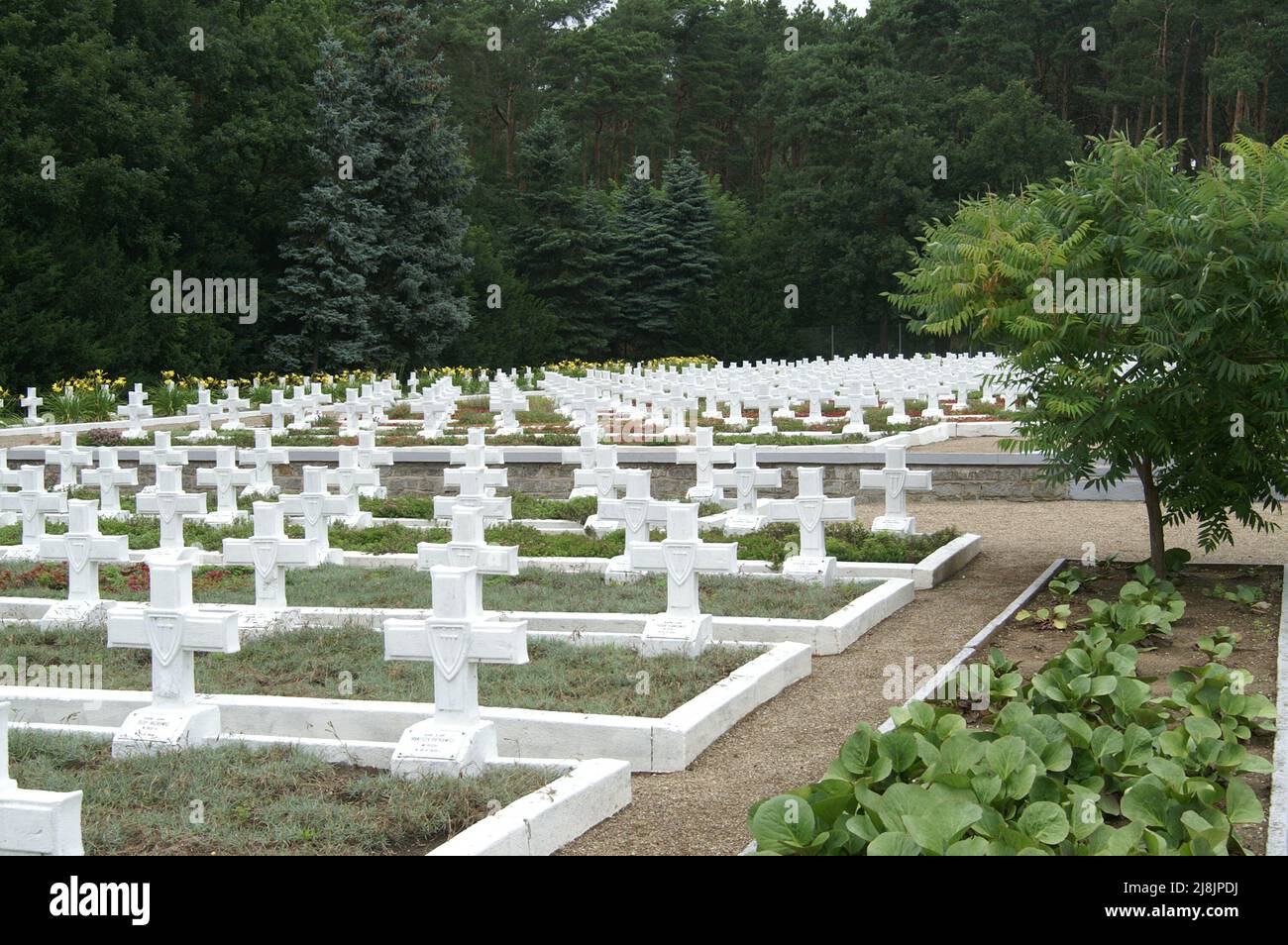 Siekierki, Pomorze Zachodnie, Polonia, Polen, Polska; Cimitero di guerra della seconda guerra mondiale; Ein Soldatenfriedhof aus dem Zweiten Weltkrieg Foto Stock