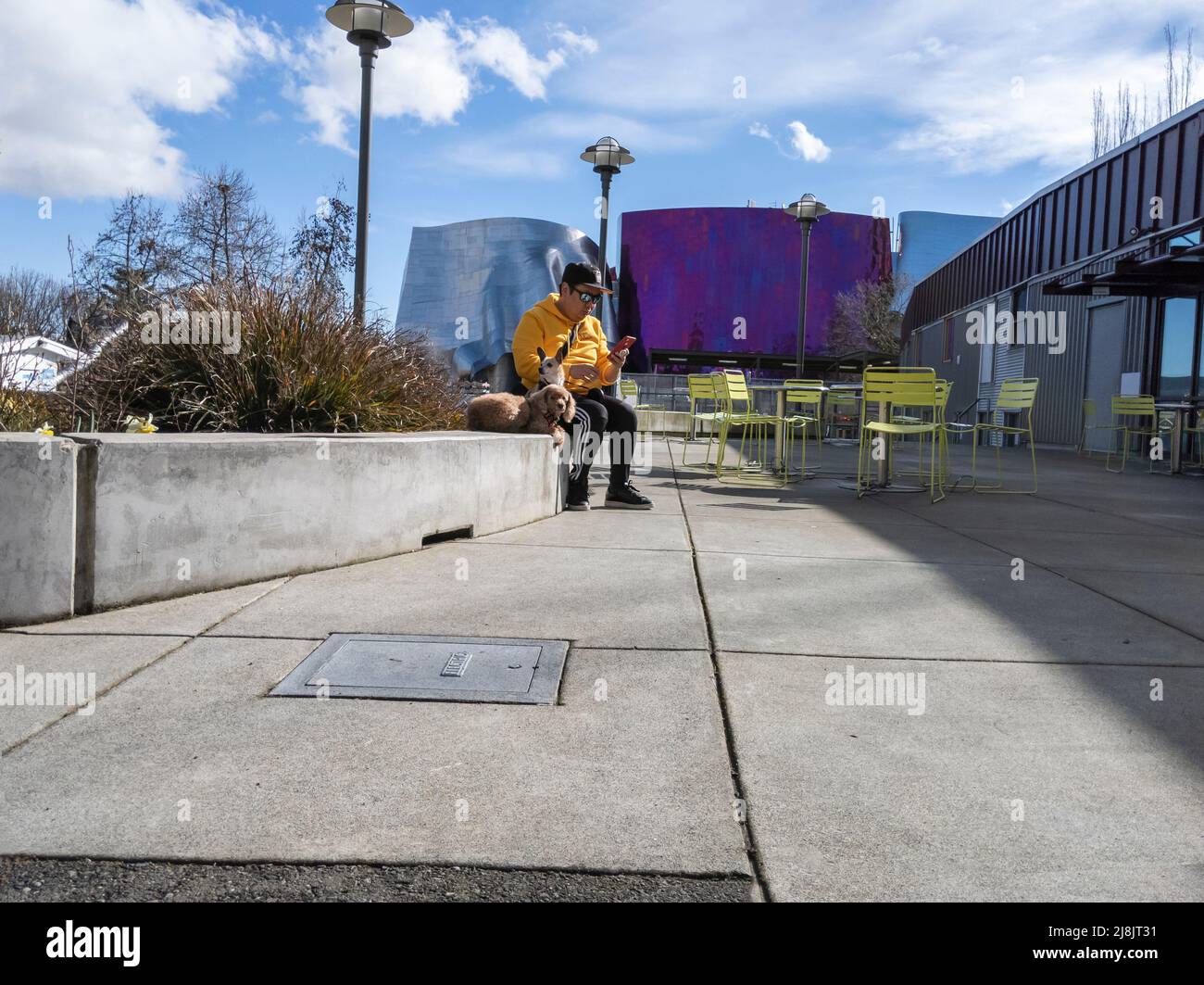 Seattle, WA USA - circa Aprile 2022: Vista di un uomo che si stende fuori con i suoi due cani vicino alla zona del Seattle Center Foto Stock