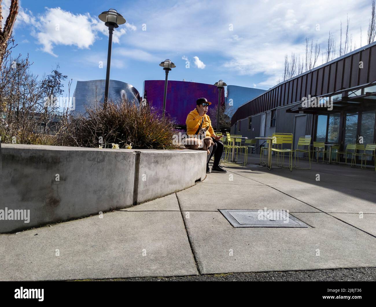 Seattle, WA USA - circa Aprile 2022: Vista di un uomo che si stende fuori con i suoi due cani vicino alla zona del Seattle Center. Foto Stock