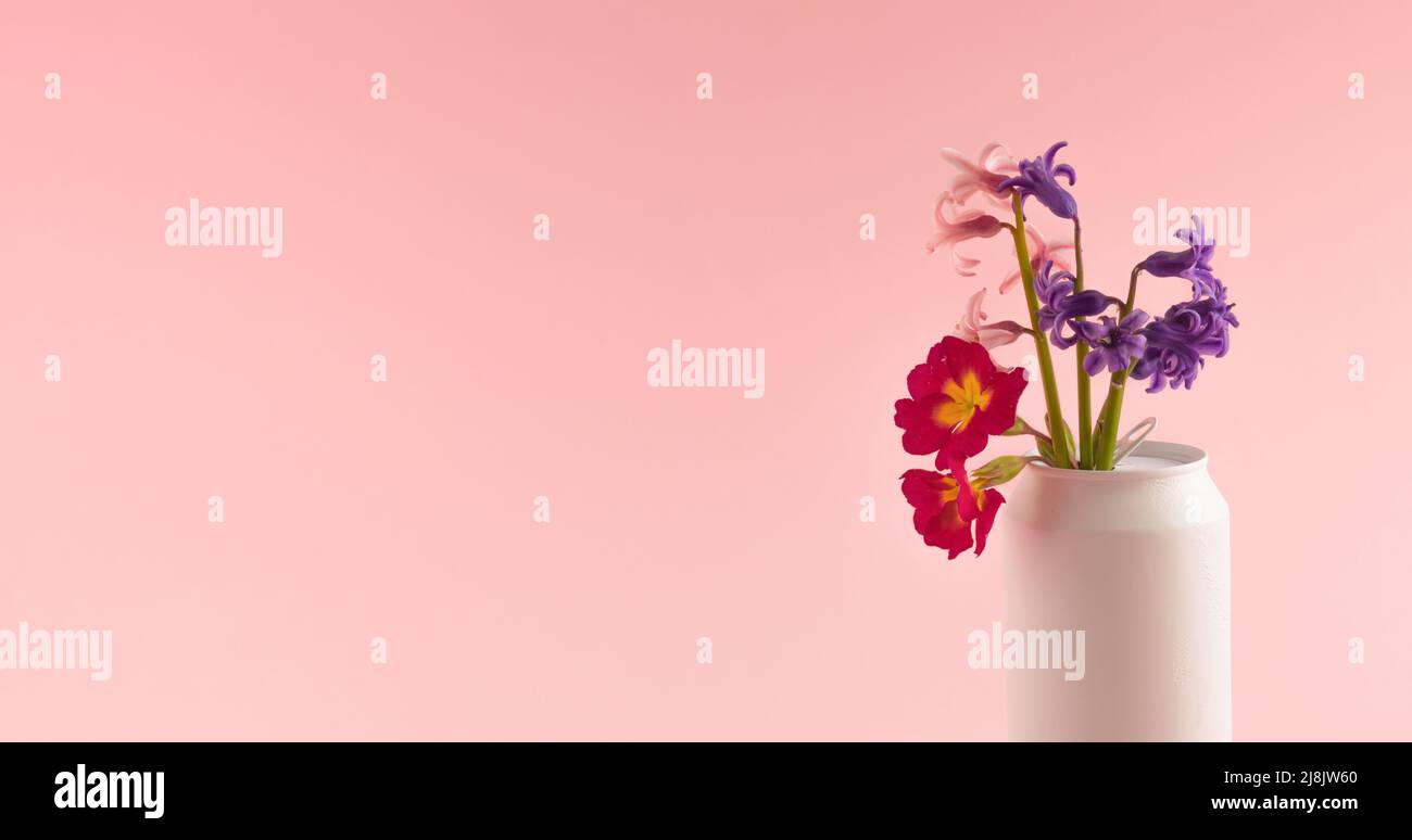 Vari fiori di primavera in una lattina bianca su sfondo rosa. Concetto minimo. Estetica retrò della vita morta. Spazio di copia. Foto Stock Vari fiori di primavera in una lattina bianca su sfondo rosa. Concetto minimo. Estetica retrò della vita morta. Spazio di copia. Foto Stock